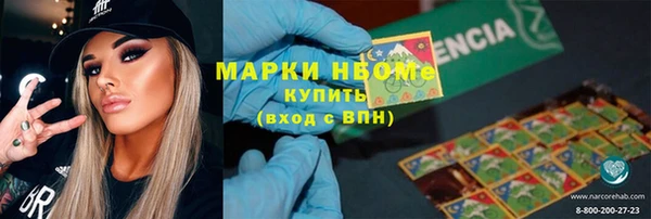 индика Протвино