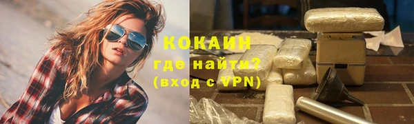 индика Протвино