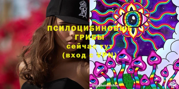 тгк Пролетарск
