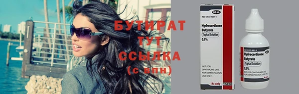 индика Протвино