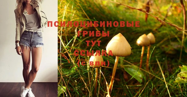 индика Протвино
