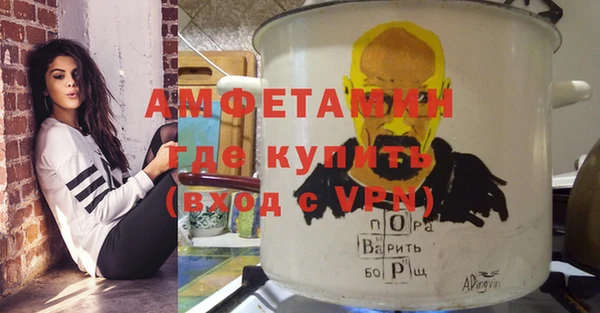 индика Протвино