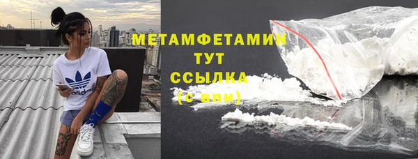 индика Протвино