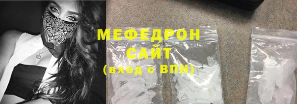 индика Протвино