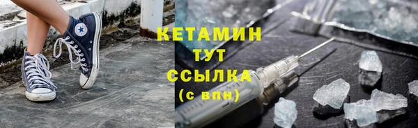индика Протвино