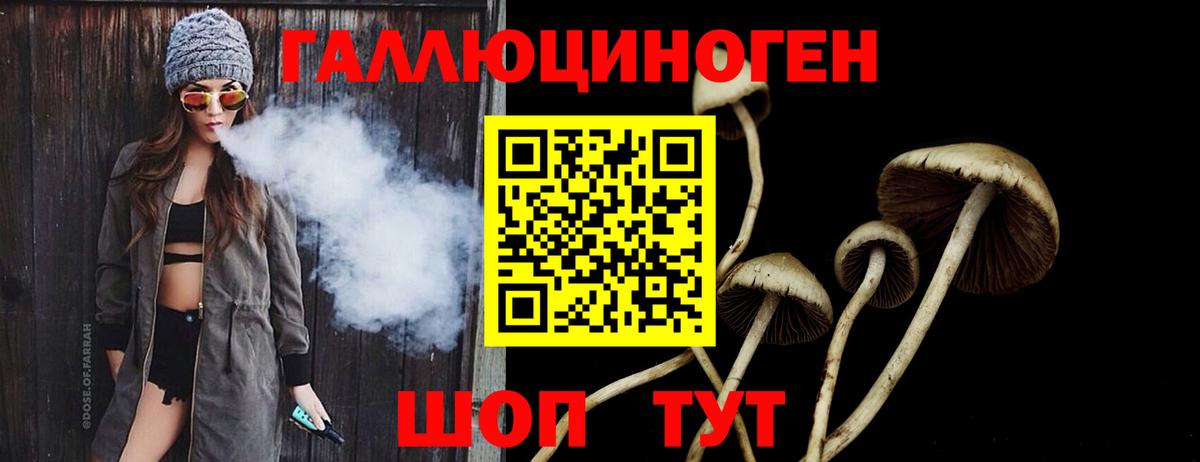 Псилоцибиновые грибы Cubensis  Вход с VPN  купить закладку  Сорочинск  Псилоцибиновые грибы ЛСД 